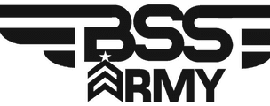 BSS Sound Shop