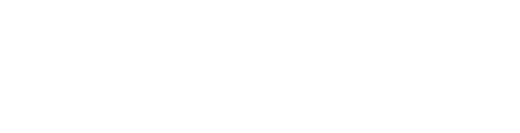 BSS Sound Shop