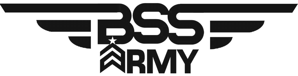 BSS Sound Shop